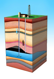 Risk Management | Historical Oil Fields